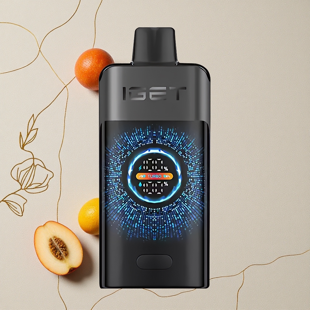 Bosco Nero IGET ONE 12000 Puffs Modalità Regolare 12000 Puffs Batteria da 2700 mAh all'ingrosso Italia