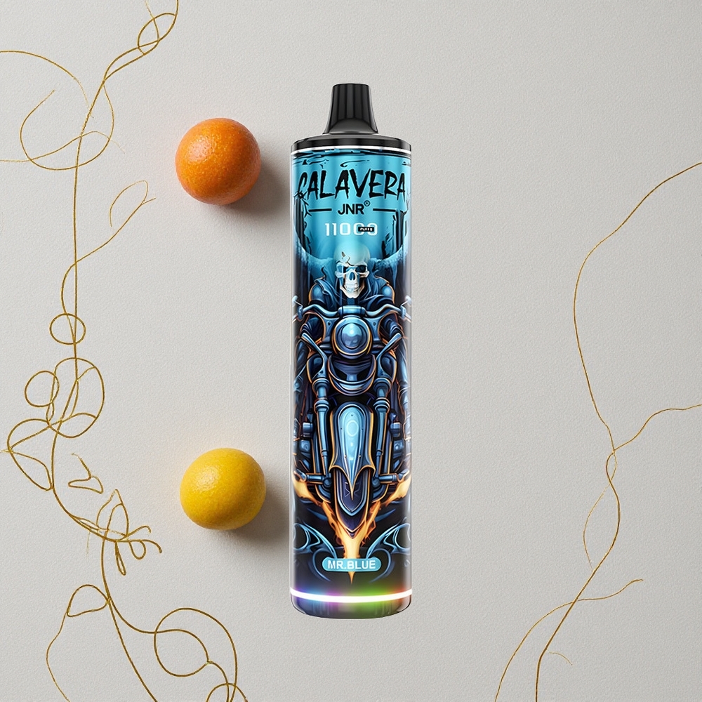 Blu JNR Calavera 11000 Puffs Porta di Ricarica Type-C 850 mAh Capacità della Batteria all'ingrosso Italia
