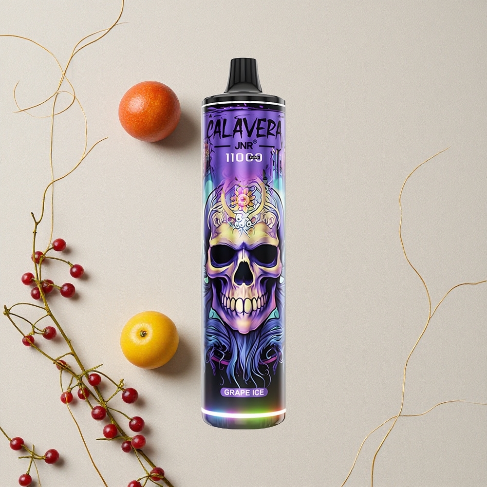 Ghiaccio Uva JNR Calavera 11000 Puffs Porta di Ricarica Type-C Capacità della Batteria 850 mAh all'ingrosso Italia