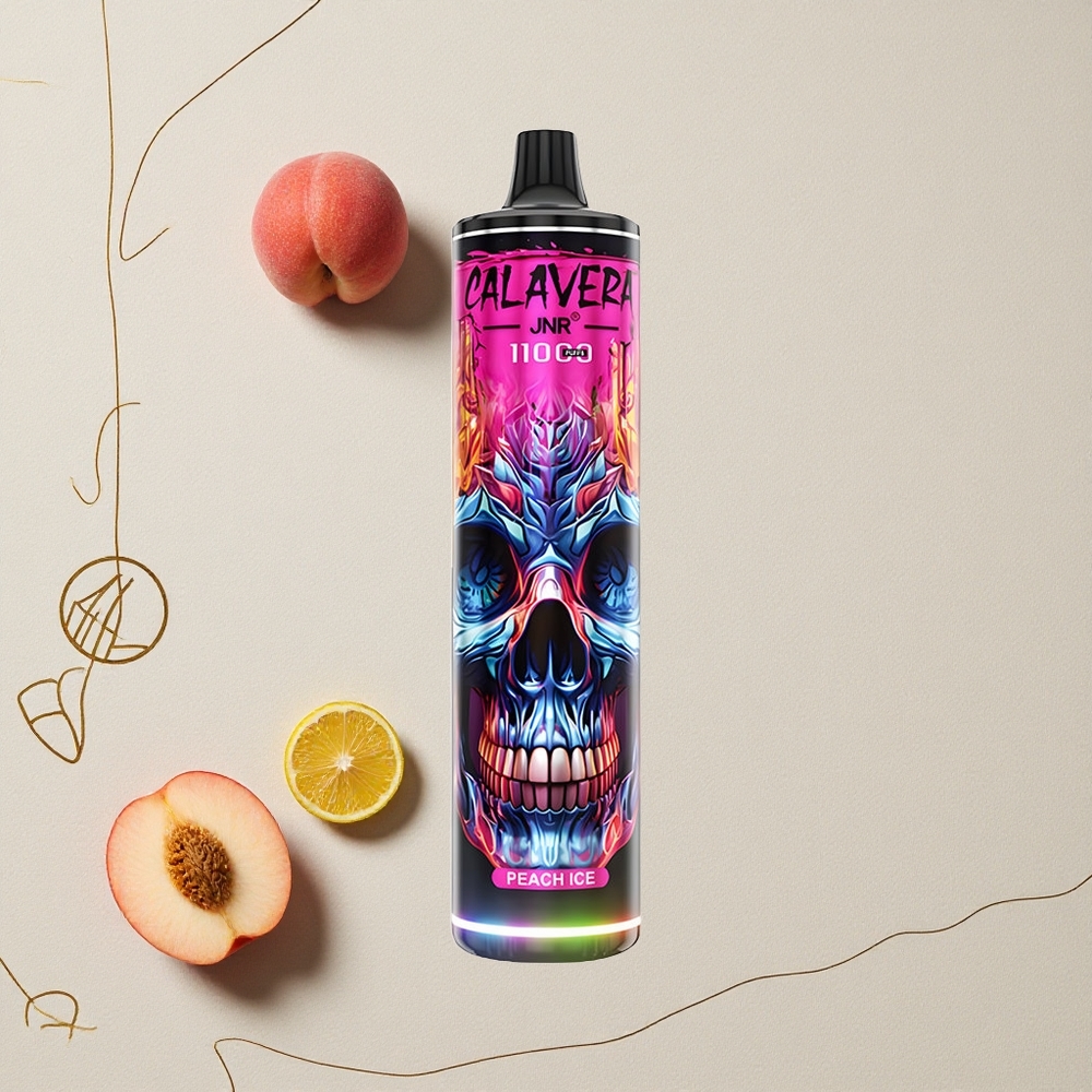 Pesca Ghiaccio JNR Calavera 11000 Puffs Porta di ricarica Type-C Capacità della batteria 850 mAh all'ingrosso Italia