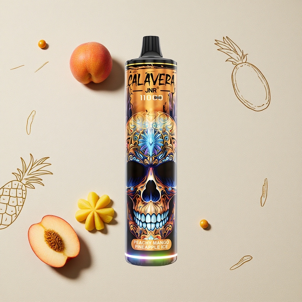 Pesca Mango Ananas Ghiaccio JNR Calavera 11000 Puff Porta di Ricarica Type-C 850 mAh Capacità della Batteria all'ingrosso Italia