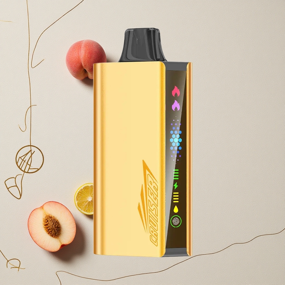 Pesca Ghiaccio JNR Cruiser 12000 Puff Sigaretta Elettronica Monouso Senza Ricarica 25ml E-liquid all'ingrosso Italia