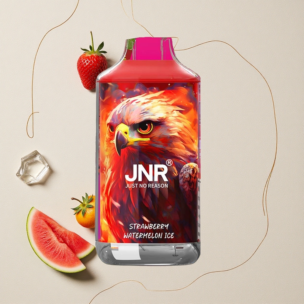 Fragola Anguria Ghiaccio JNR Falcon 16000 Puff Capacità della Batteria 850 mAh Capacità dell'E-liquid 22ml all'ingrosso Italia