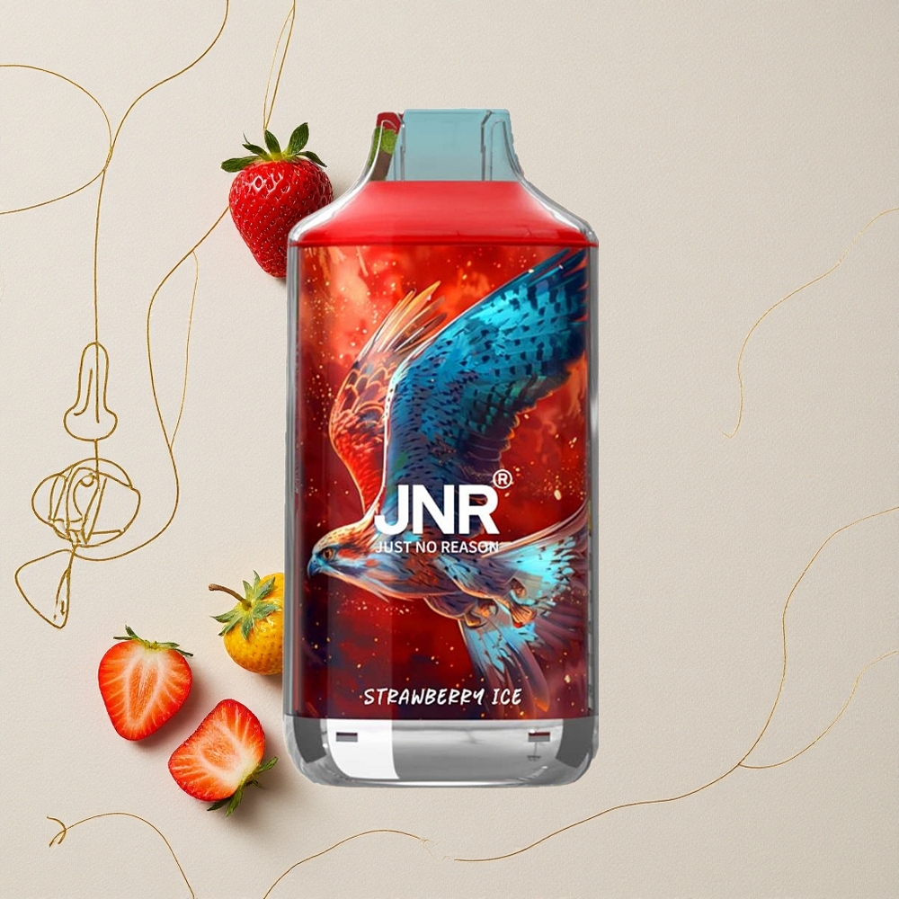 Fragola Ghiaccio JNR Falcon 16000 Puffs Capacità della Batteria 850 mAh all'ingrosso Italia