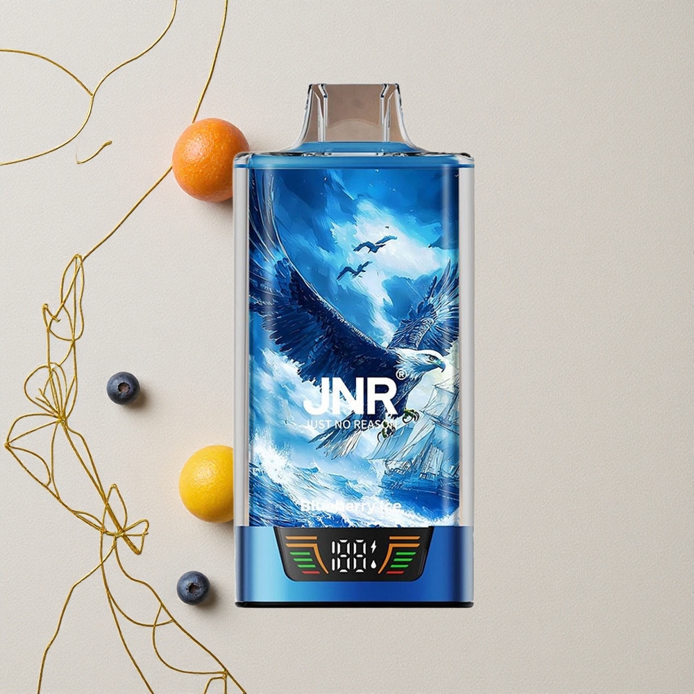 Mirtillo Blu Ghiaccio JNR Falcon Pro 28000 30ml Capacità Pre-Riempiuta 950mAh Capacità della Batteria all'ingrosso Italia