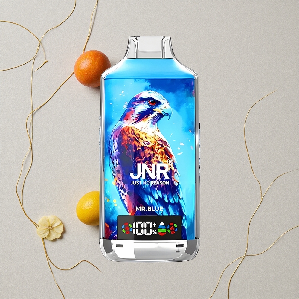 Blu Mr. JNR Falcon X 18000 Puffs Capacità della Batteria 750mAh Capacità dell'E-Liquid 24ml all'ingrosso Italia