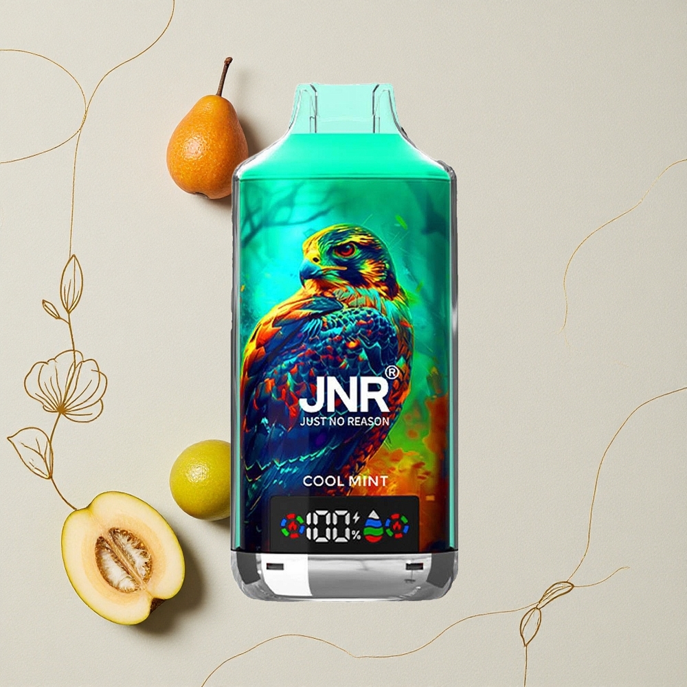Menta Fresca JNR Falcon X 18000 Puff Capacità della Batteria 750mAh all'ingrosso Italia