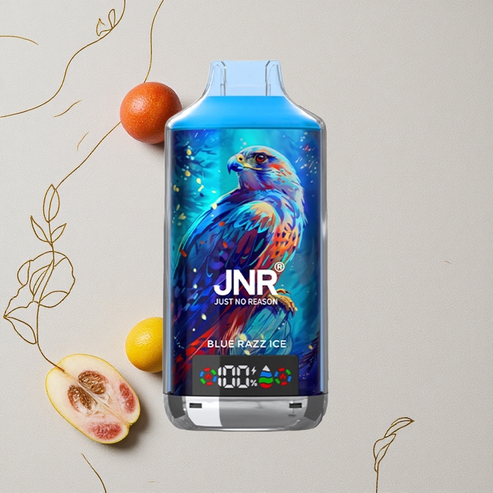 Mirtillo Lampone Ghiaccio JNR Falcon X 18000 Puffs 24ml E-Liquido Dual Mesh Coil all'ingrosso Italia
