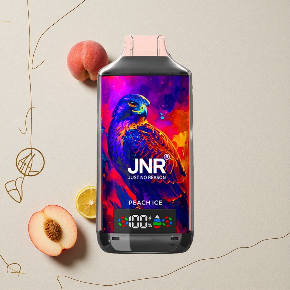 Pesca Ghiaccio JNR Falcon X 18000 Puffs 750mAh 24ml all'ingrosso Italia