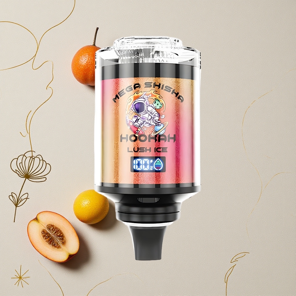Ghiaccio Lussureggiante JNR Mega Shisha Hookah 100000 Puffs 60ml capacità e-Liquid 2200mAh batteria ricaricabile all'ingrosso Italia