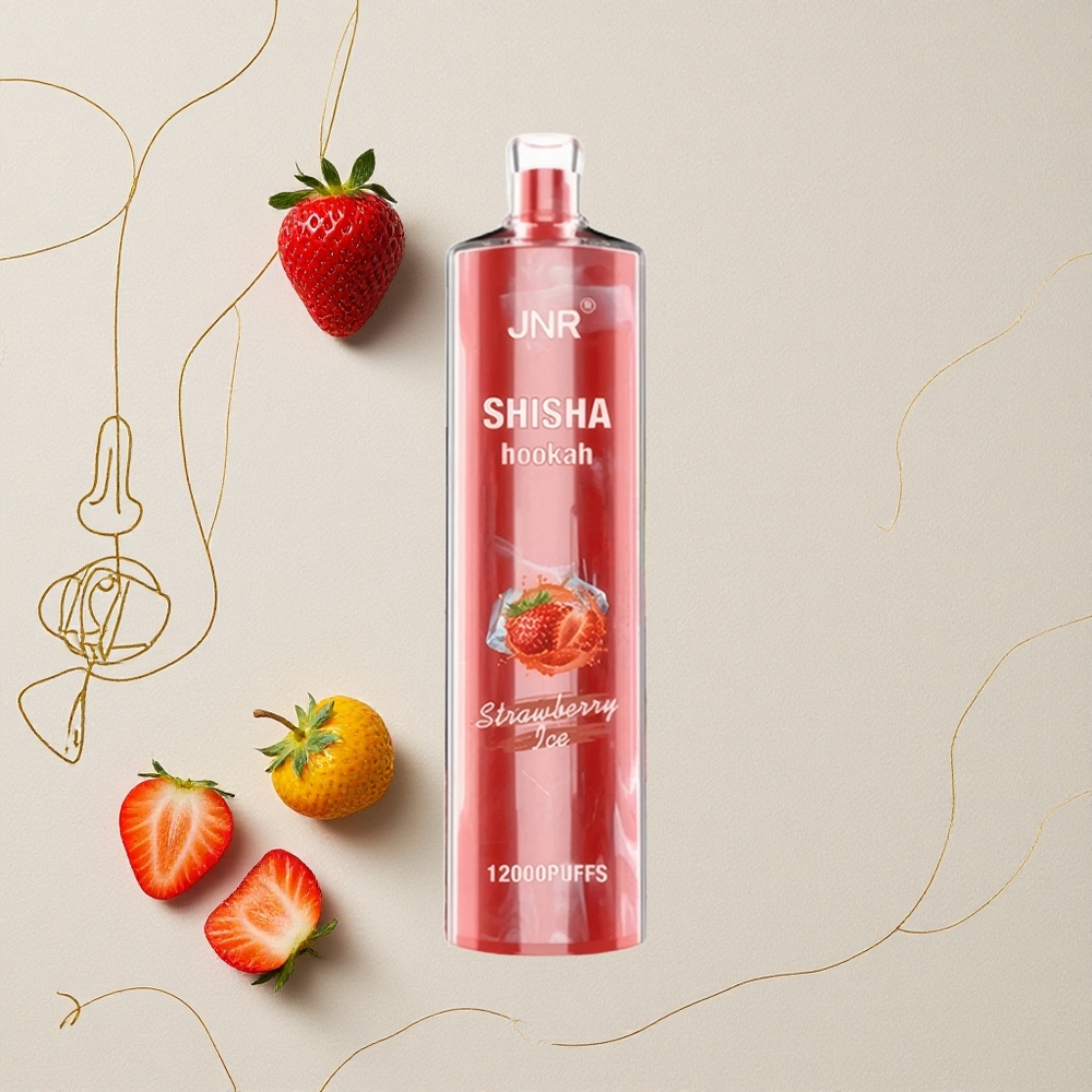 Fragola Ghiaccio JNR Shisha Hookah 12000 Puff Capacità della batteria 750mAh Capacità dell'e-liquid 24ml all'ingrosso Italia
