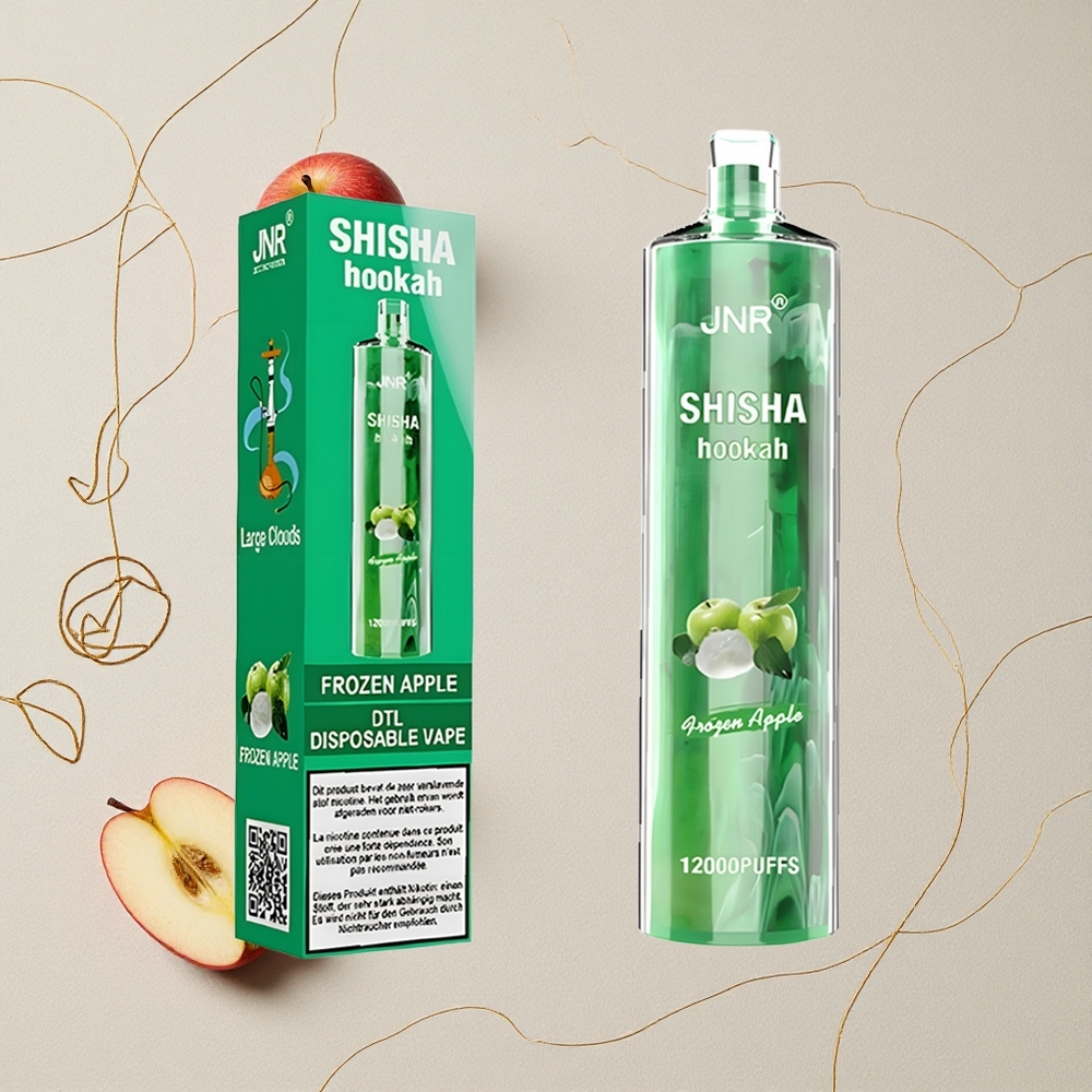 Mela Congelata JNR Shisha Hookah 12000 Puff Capacità della batteria 750mAh Carica rapida Type-C all'ingrosso Italia