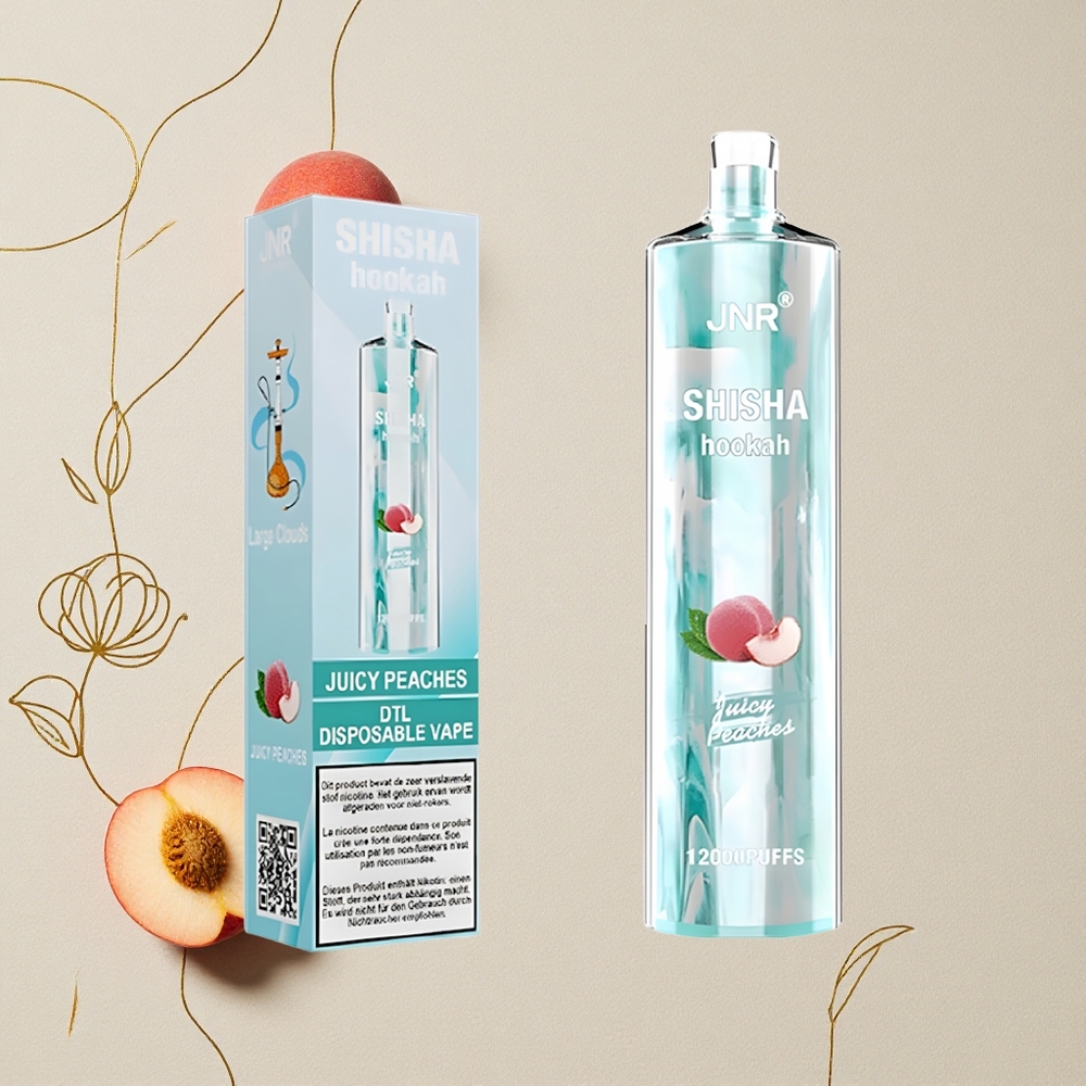 Pesche Succose JNR Shisha Hookah 12000 Puff Capacità della batteria: 750mAh all'ingrosso Italia
